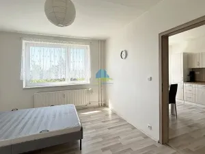 Pronájem bytu 1+1, Františkovy Lázně, Husitská, 35 m2