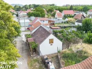Prodej vinného sklepa, Březí, 76 m2