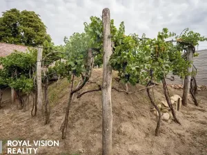 Prodej vinného sklepa, Březí, 76 m2