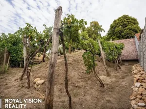 Prodej vinného sklepa, Březí, 76 m2