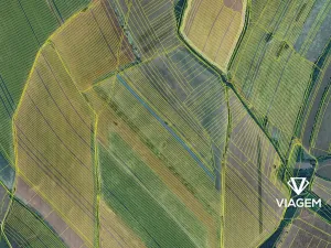 Prodej podílu pole, Velká nad Veličkou, 2376 m2