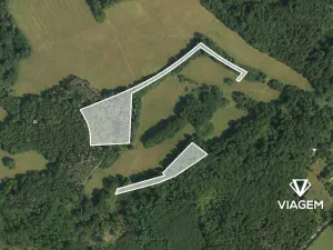Prodej podílu lesa, Veselé, 5410 m2