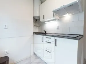 Pronájem bytu 1+1, Milovice, Spojovací, 27 m2