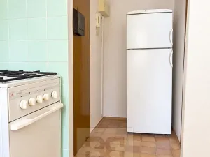 Pronájem bytu 1+1, Praha - Žižkov, Lucemburská, 32 m2