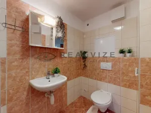 Prodej bytu 1+kk, České Budějovice, Holečkova, 35 m2