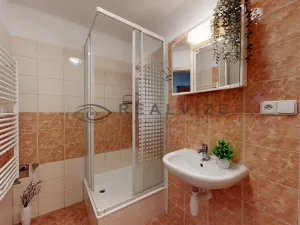 Prodej bytu 1+kk, České Budějovice, Holečkova, 35 m2