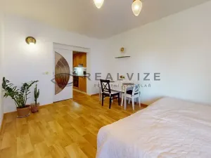 Prodej bytu 2+1, České Budějovice, Holečkova, 52 m2