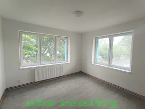 Pronájem bytu 1+1, Čáslav, Tyršova, 30 m2