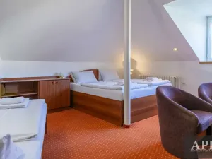 Prodej ubytování, Luhačovice, Masarykova, 420 m2