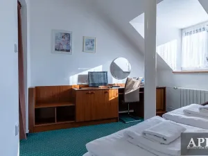 Prodej ubytování, Luhačovice, Masarykova, 420 m2