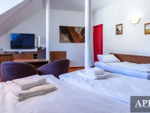 Prodej apartmánu, Luhačovice, Masarykova, 420 m2