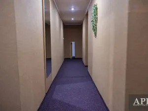 Prodej apartmánu, Luhačovice, Masarykova, 420 m2