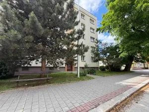Prodej bytu 2+1, Karviná, Kosmonautů, 56 m2
