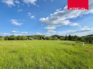 Prodej pozemku pro bydlení, Mladé Buky, 115000 m2