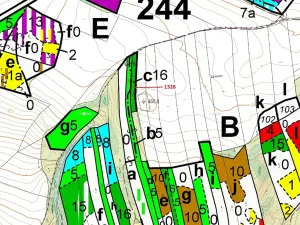 Dražba lesa, Vladislav, 662 m2