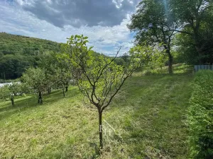 Prodej rodinného domu, Třebichovice, 68 m2