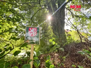 Prodej rybníku, Kostelec nad Černými lesy - Kostelec nad Černými Lesy, 16025 m2