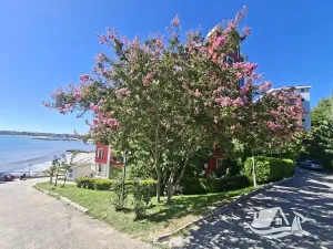 Prodej bytu 2+kk, Nesebar, Bulharsko, 52 m2