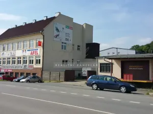 Pronájem výrobních prostor, Česká, 270 m2