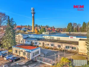 Prodej výrobních prostor, Miletín, Lhotova, 22000 m2
