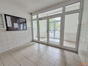 Pronájem bytu 1+kk, Praha - Braník, Vavřenova, 25 m2