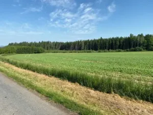 Prodej pozemku pro bydlení, Zbizuby, 8669 m2