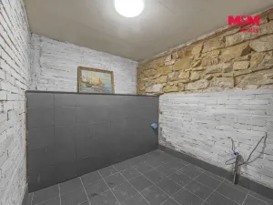 Prodej komerční nemovitosti, Praha, Seifertova, 110 m2