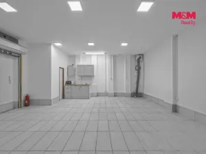 Prodej komerční nemovitosti, Praha, Vlkova, 48 m2