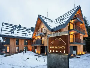 Prodej bytu 2+kk, Harrachov, 80 m2