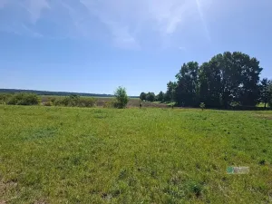 Prodej pozemku pro bydlení, Sluštice, 1015 m2