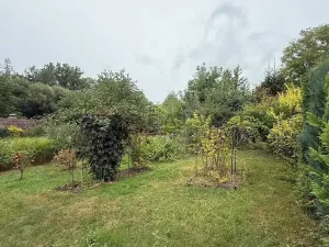 Prodej chaty, Horní Stropnice, 20 m2