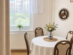 Pronájem bytu 1+kk, Ostrava, Horní, 35 m2