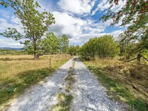 Prodej pozemku pro bydlení, Nová Pec, 2451 m2