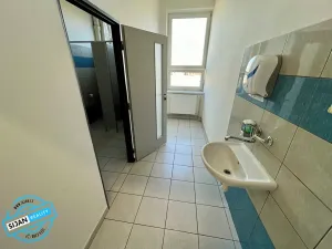 Pronájem kanceláře, Opava, 20 m2