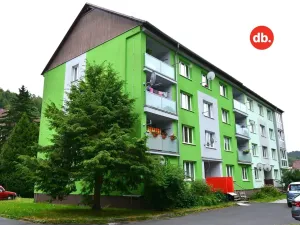 Prodej bytu 1+kk, Kraslice, Družstevní, 20 m2