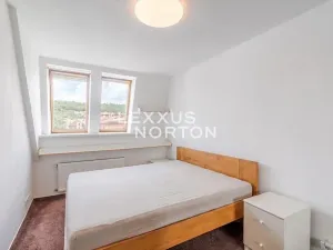 Pronájem bytu 5+kk, Praha - Radotín, Tachovská, 135 m2