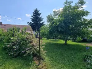 Prodej rodinného domu, Žďárná, 200 m2