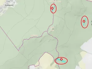 Prodej podílu lesa, Nová Hradečná, 6798 m2