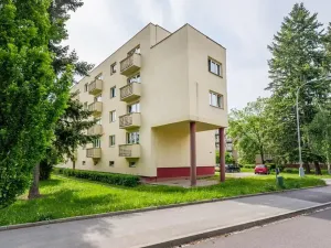 Pronájem bytu 2+1, Hradec Králové, Labská kotlina, 55 m2