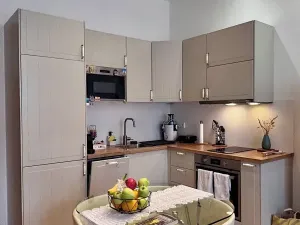Prodej bytu 1+1, Praha - Vinohrady, Anny Letenské, 50 m2