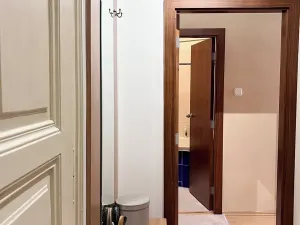 Prodej bytu 1+1, Praha - Vinohrady, Anny Letenské, 50 m2