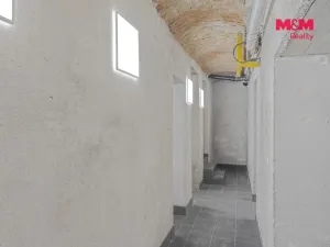 Pronájem komerční nemovitosti, Praha, Seifertova, 100 m2