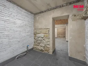 Pronájem komerční nemovitosti, Praha, Seifertova, 100 m2