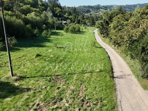 Prodej louky, Hlásná Třebaň, 10941 m2