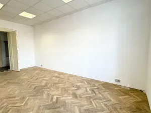 Prodej vily, Třešť, Palackého, 804 m2