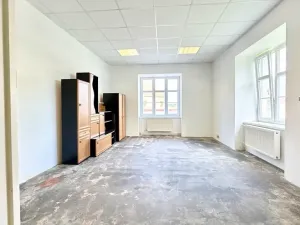 Prodej vily, Třešť, Palackého, 804 m2