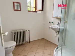 Pronájem obchodního prostoru, Černošice, Radotínská, 92 m2