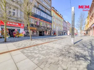 Pronájem bytu 2+1, Cheb, Svobody, 72 m2