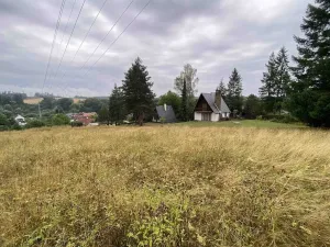 Prodej louky, Brumovice - Úblo, 1160 m2