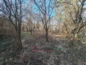Prodej pozemku pro bydlení, Nové Mitrovice, 1216 m2